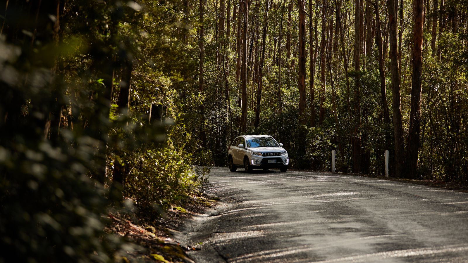 Vehicle travelling on a forest road within Wellington Park.