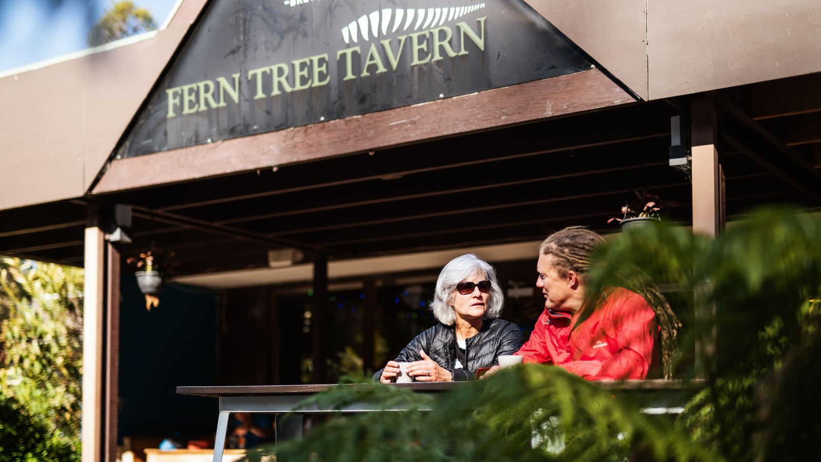 Visitors enjoying the Fern Tree area at the gateway to Wellington Park.